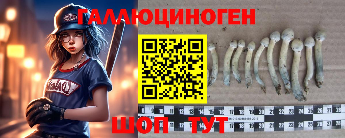 Псилоцибиновые грибы MAGIC MUSHROOMS Москва