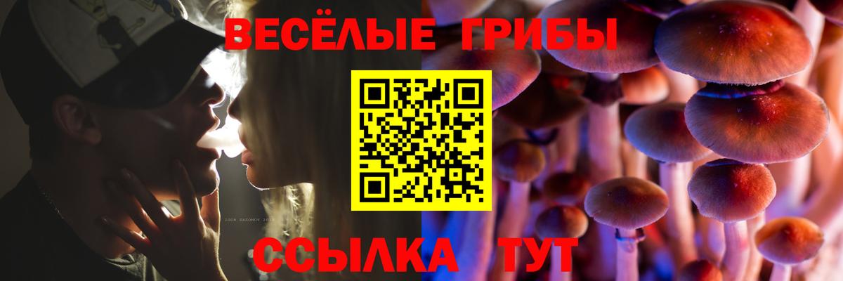 Галлюциногенные грибы Psilocybine cubensis  Вход с VPN  Москва  Галлюциногенные грибы ЛСД 